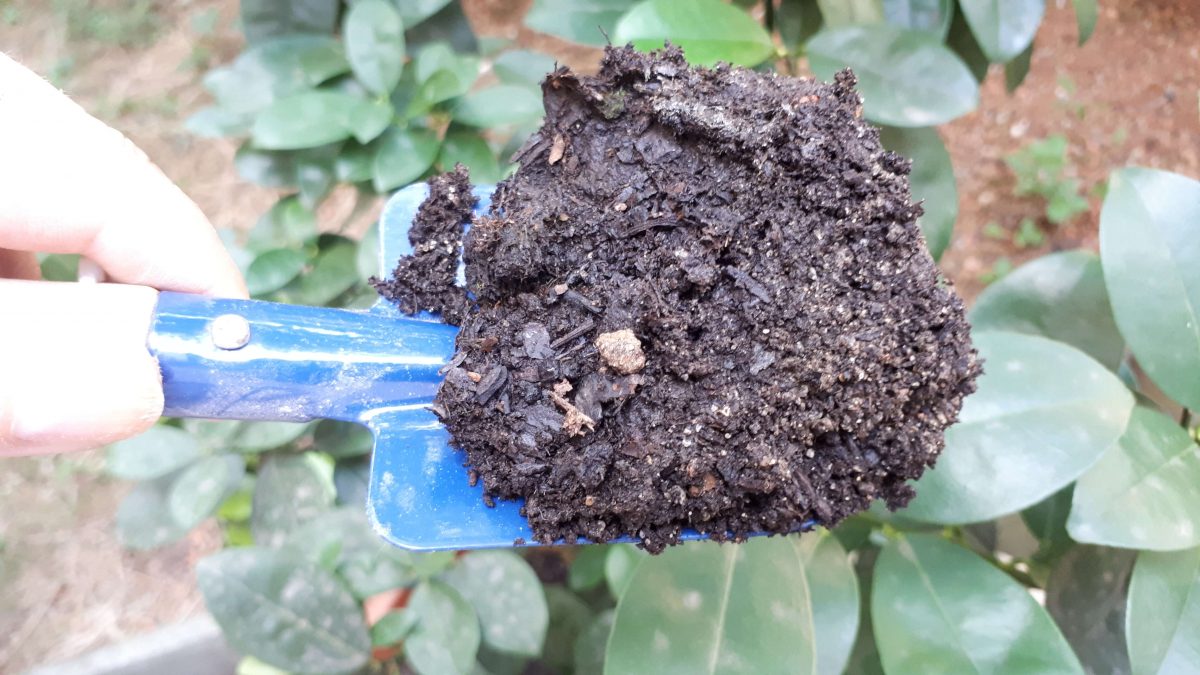 Bodenananyse Im Hausgarten