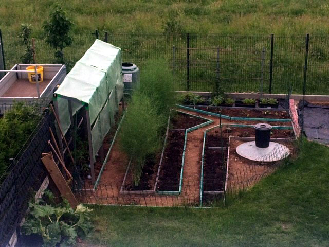 Spargelanbau Im Hausgarten Pflanzenimgarten At